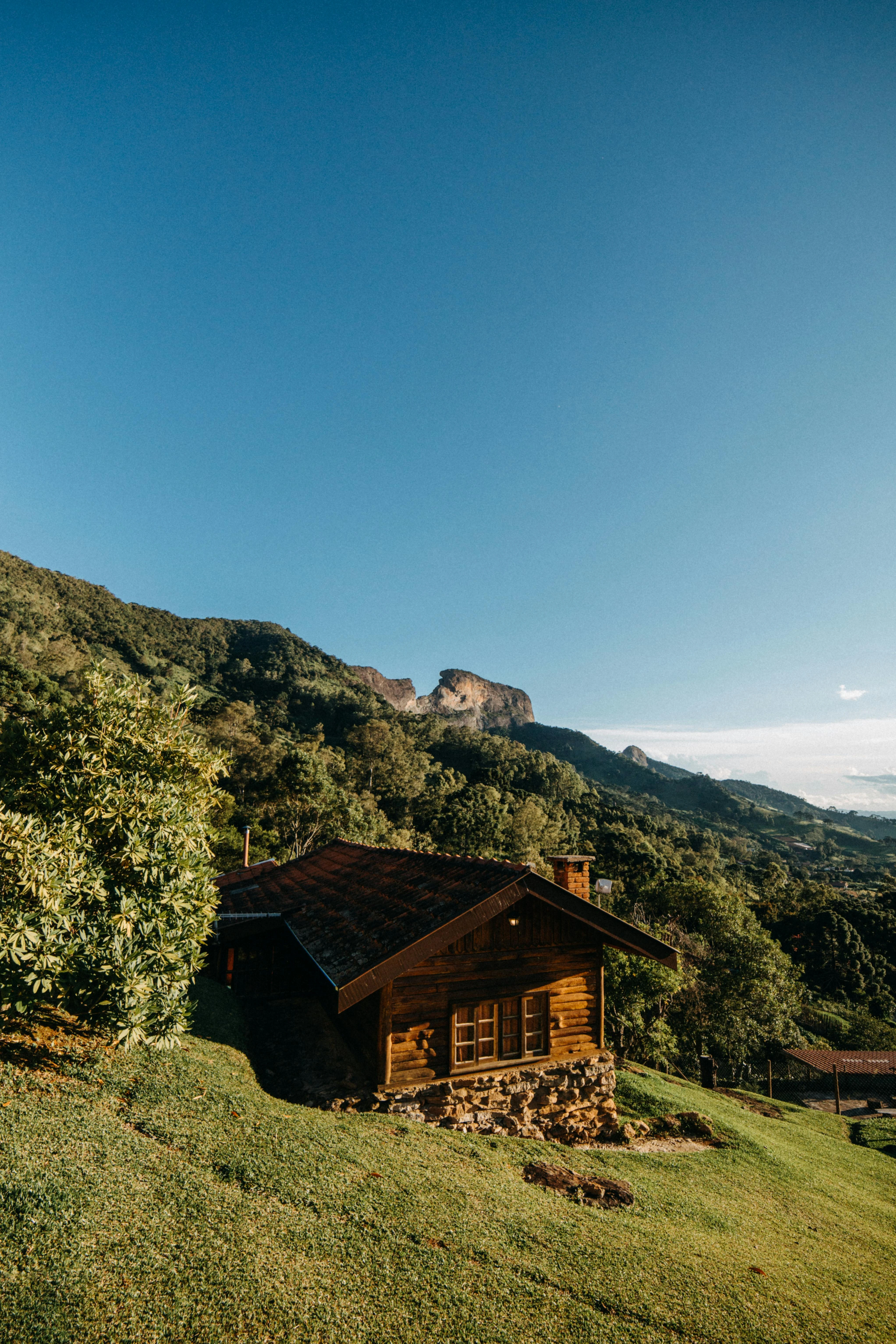 Orman içinde ahşap bungalov